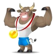 Bulls Power