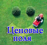 ценовые поля